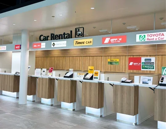 Can You Rent a Car With Cash Yes And Here Is How to Do It
