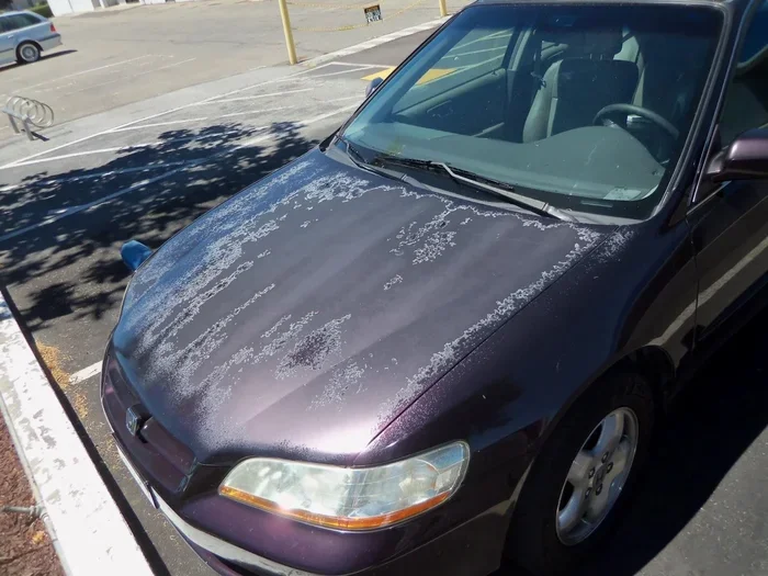 Can You Wash Your Car Too Much And Damage The Paint